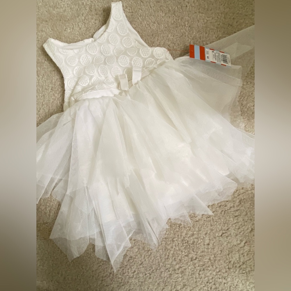 Cat‎ & Jack White Tulle Dress